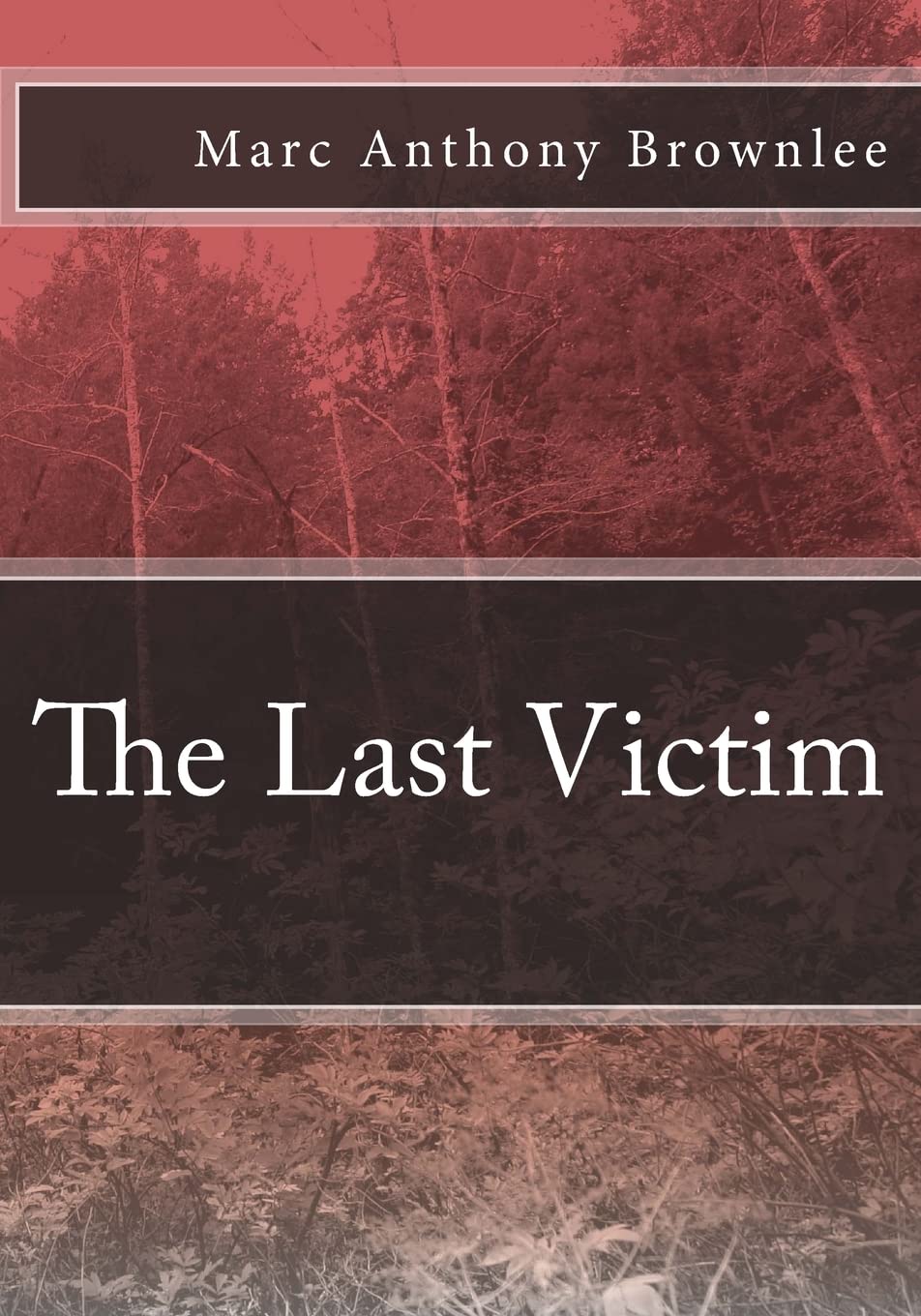 The Last Victim book cover